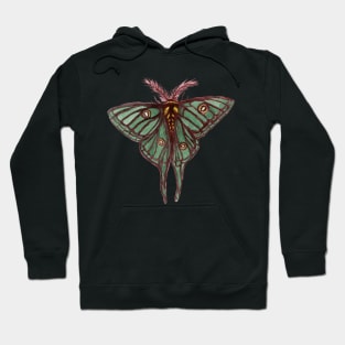 Watercolor Spanish Moon Moth Hoodie